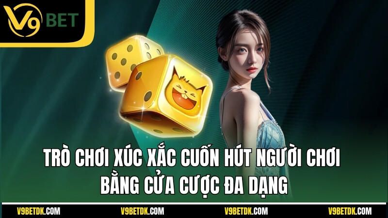 Tro Choi Xuc Xac Cuon Hut Nguoi Choi Bang Cua Cuoc Da Dang